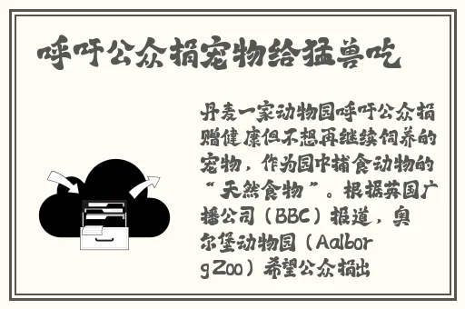 国家宝藏3高清